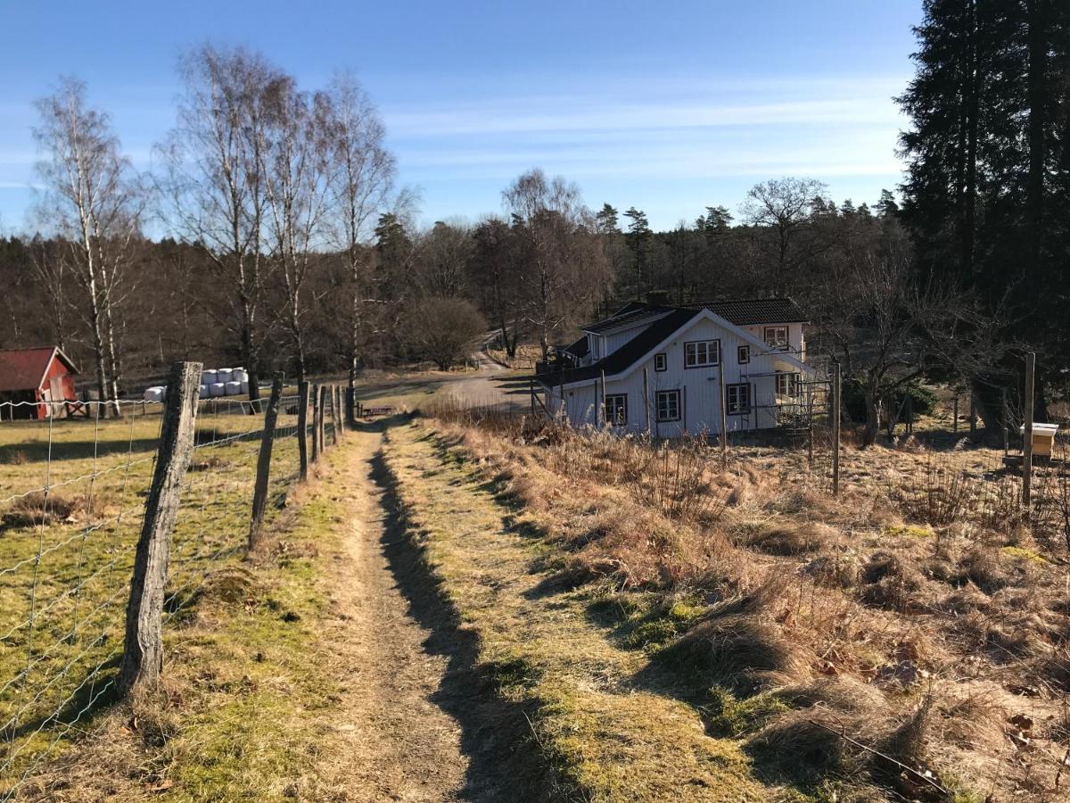 Bjoersjoeas Vildmark - In The Main House * Olofstorp